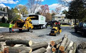 Best Arborist Consultation Services  in Janesville, MN