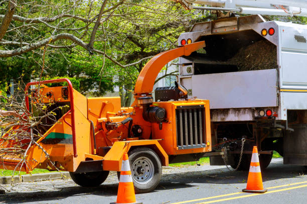 Best Tree Risk Assessment  in Janesville, MN