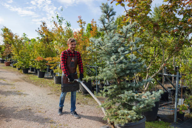 Best Commercial Tree Services  in Janesville, MN